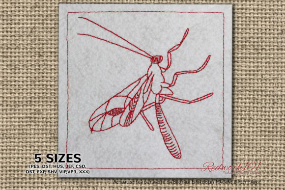 Ichneumonidae: A Designer’s Review for Personalized Gifts