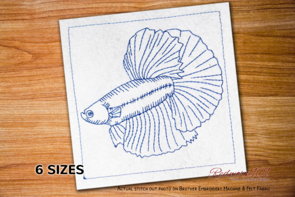 Siamese Fighting Fish: A Designer’s Holiday Review