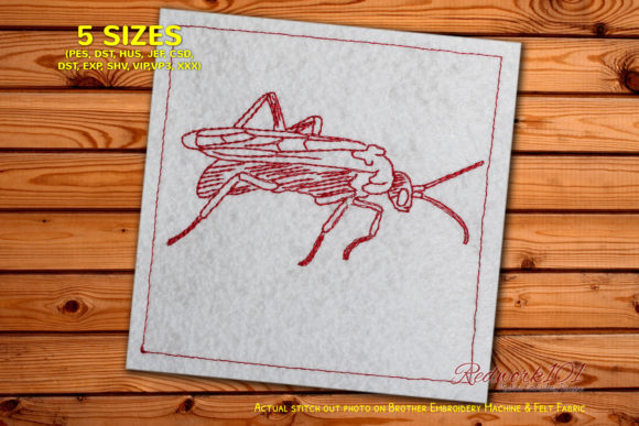 Tarantula Hawk Lineart: A Designer’s Real-World Review