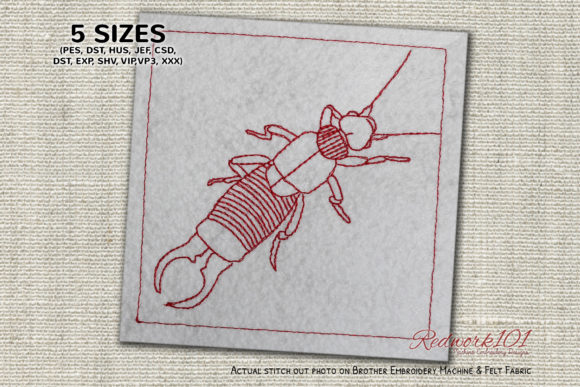 Wild Earwig Lineart: A Designer’s Holiday Review